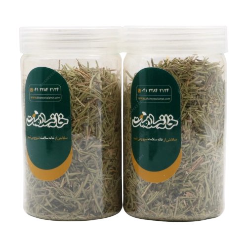 رزماری خانه سلامت | تقویت مغز و بهبود گردش خون