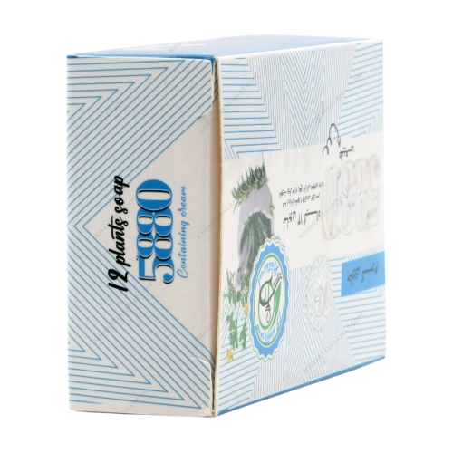 صابون ۱۲ گیاه حاوی کرم 5880 | پاکسازی و تقویت پوست