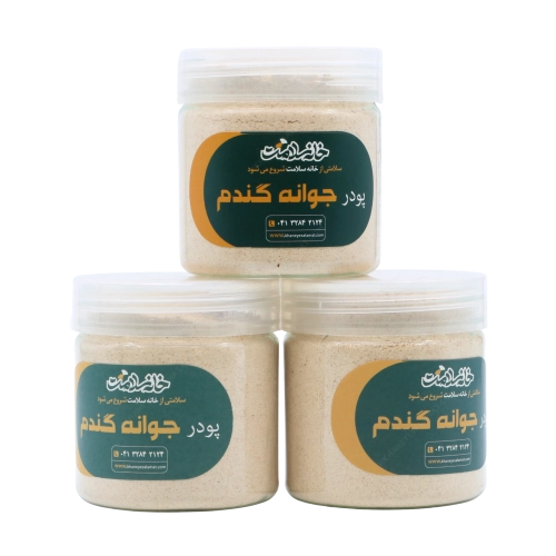 پودر جوانه گندم خانه سلامت | تولید اختصاصی و مقوی طبیعی