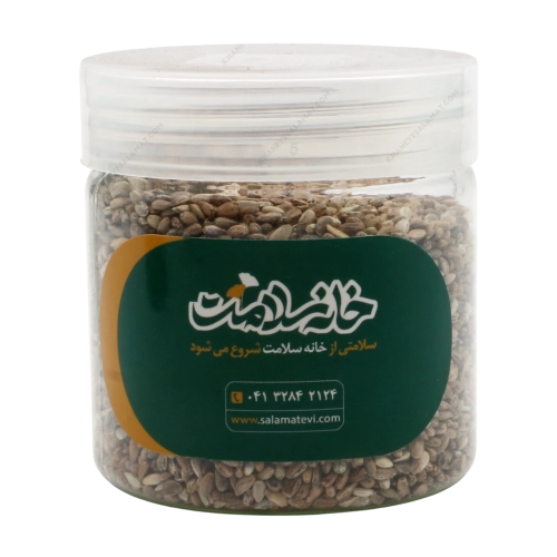 تخم خارمریم خانه سلامت؛ پاک‌کننده کبد و تقویت‌کننده طبیعی