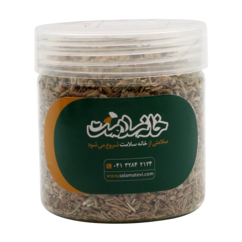 تخم رازیانه خانه سلامت؛ تقویت گوارش و تعدیل هورمونی طبیعی