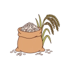 برنج