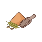 سویق