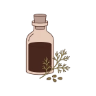 روغن سیاه‌دانه